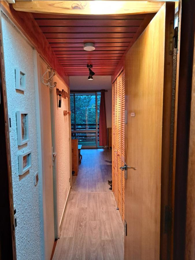 Montagnard Serre-chevalier. Apartment Saint-Chaffrey